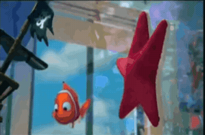 A Clown Fish And A Red Star Are Floating In A Tank GIF