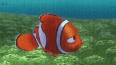A Clown Fish Is Swimming In The Ocean With A Watermark That Says ' Wb ' On It GIF