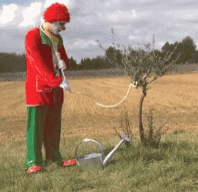 A Clown Is Watering A Tree With A Can GIF