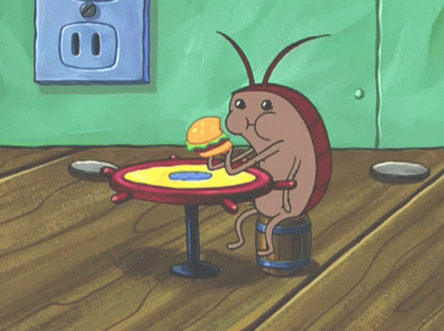 A Cockroach Is Eating A Hamburger On A Table GIF
