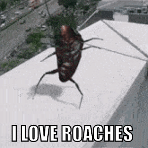 A Cockroach Is Standing On A Ledge With The Words `` I Love Roaches '' Above It . GIF