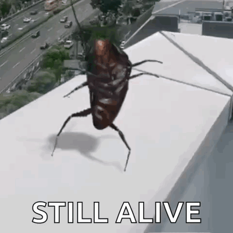 A Cockroach Is Walking On Top Of A Building With The Words `` Still Alive '' Written Below It . GIF