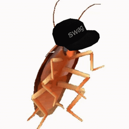 A Cockroach Is Wearing A Black Hat That Says Swag GIF