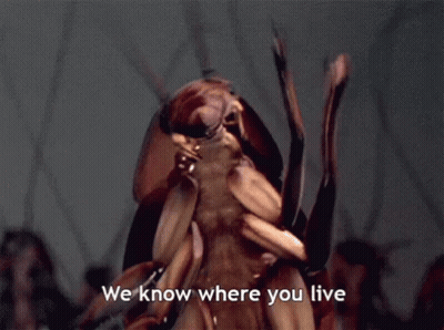 A Cockroach Says " We Know Where You Live " GIF