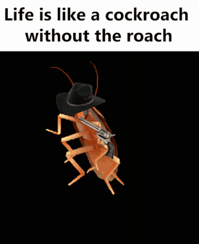 A Cockroach Wearing A Cowboy Hat Holding A Gun GIF