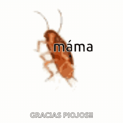 A Cockroach With The Word Mama On It GIF