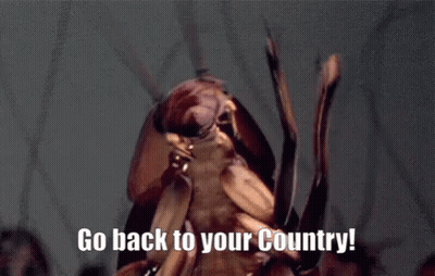 A Cockroach With The Words Go Back To Your Country Written On It GIF