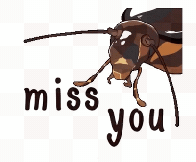A Cockroach With The Words `` Miss You '' Written Next To It GIF