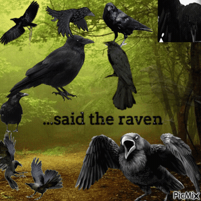A Collage Of Black Birds With The Words " Said The Raven " Above Them GIF