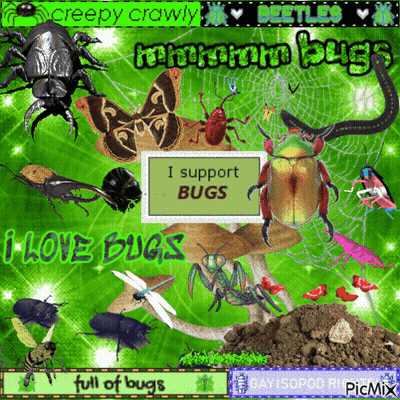 A Collage Of Bugs With The Words I Support Bugs On The Bottom GIF