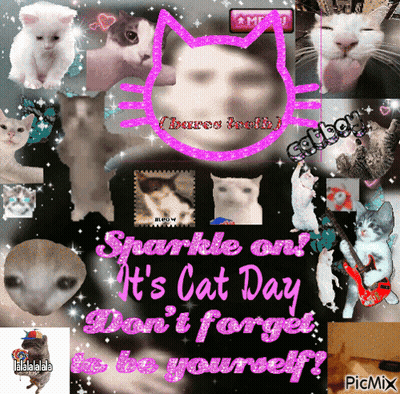 A Collage Of Cats And The Words " Sparkle On It 'S Cat Day " GIF