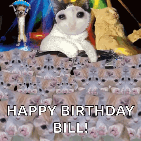 A Collage Of Cats With The Words Happy Birthday Bill On The Bottom GIF