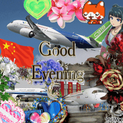 A Collage Of Flowers And Planes With The Words Good Evening GIF