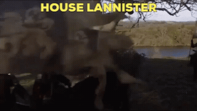 A Collage Of Images With The Words House Lannister On The Top GIF