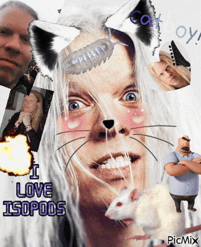 A Collage Of Images With The Words I Love Isopods At The Bottom GIF