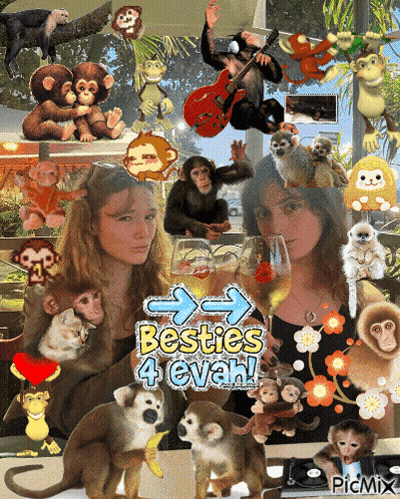 A Collage Of Monkeys And Two Girls With The Words Besties 4 Evah GIF