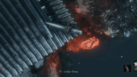 A Collage Of Three Different Images Shows A Roof A Frog And A Waterfall GIF