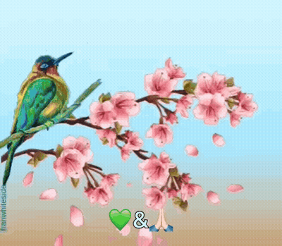 A Colorful Bird Is Perched On A Branch Of Cherry Blossoms With A Butterfly . GIF