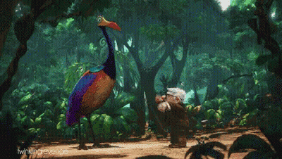 A Colorful Bird With A Long Neck Is Walking Through A Jungle GIF