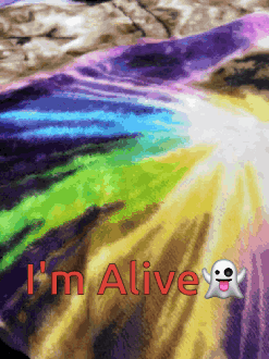 A Colorful Blanket With The Words I 'M Alive And A Ghost GIF