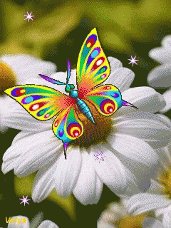 A Colorful Butterfly Is Sitting On A White Flower With The Name Valya Below It GIF