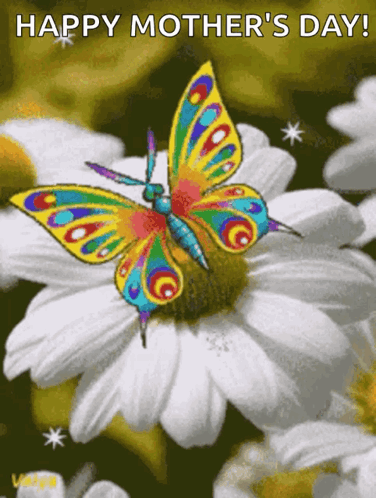 A Colorful Butterfly Is Sitting On A White Flower With The Words Happy Mother 'S Day Written Below It GIF