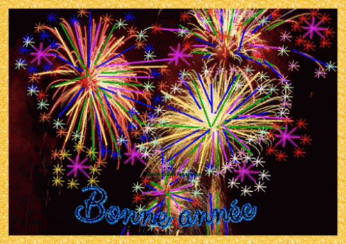 Colorful Fireworks With Bonne Annee In Blue GIF