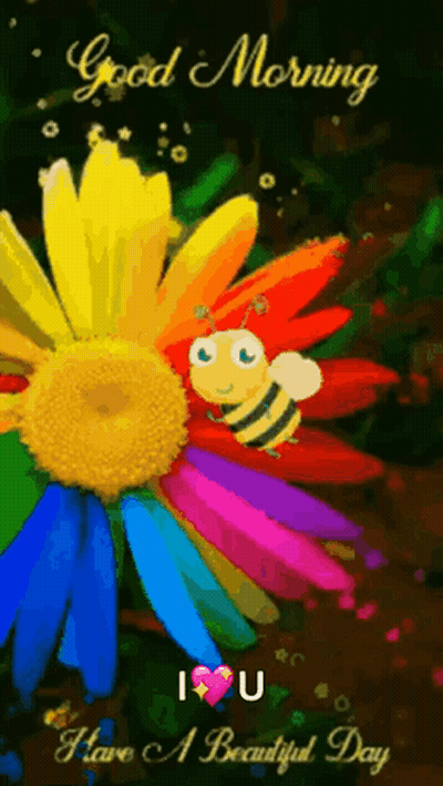 A Colorful Flower With A Bee On It And The Words `` Good Morning I Love U '' GIF