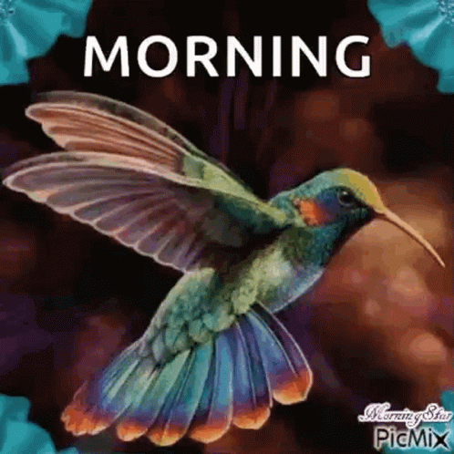 A Colorful Hummingbird Is Flying In The Air With The Words `` Morning '' Written On The Bottom . GIF