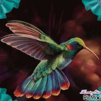 A Colorful Hummingbird With A Long Beak Is Flying In The Air GIF