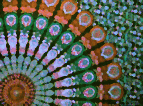 A Colorful Kaleidoscope With Circles And Dots On A Black Background GIF