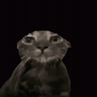 A Colorful Painting Of A Cat Against A Rainbow Background GIF
