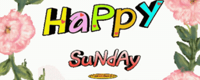 A Colorful Sign That Says Happy Sunday With Pink Flowers In The Background GIF