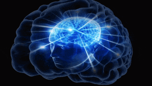 A Computer Generated Image Of A Person 'S Brain With Light Coming Out Of It GIF