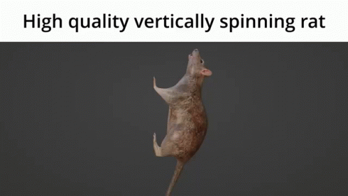 A Computer Generated Image Of A Spinning Rat With The Caption " High Quality Vertically Spinning Rat " GIF