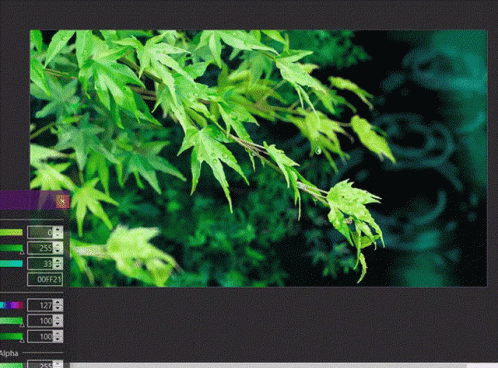 A Computer Screen Displays A Picture Of Green Leaves And A Color Palette GIF