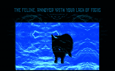 A Computer Screen Says The Feline Annoyed With Your Lack Of Focus On It GIF