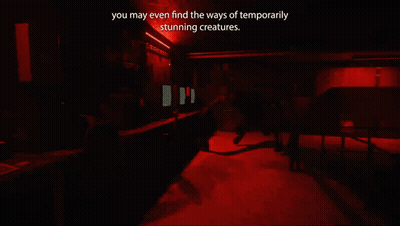 A Computer Screen Says You May Even Find The Ways Of Temporally Stunning Creatures GIF