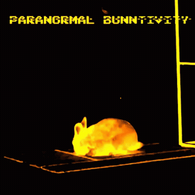 A Computer Screen Shows A Rabbit And The Words " Paranormal Gunntivity " GIF