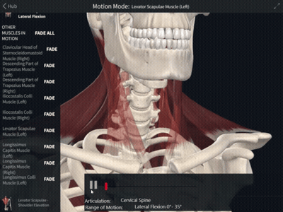 A Computer Screen Shows A Skeleton And Muscles And Says Motion Mode GIF