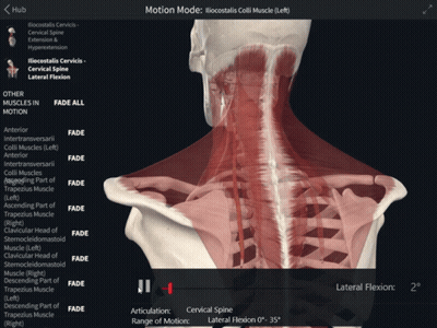 A Computer Screen Shows Muscles In Motion And The Motion Mode GIF