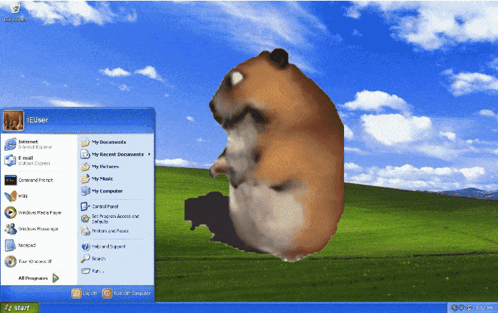 A Computer Screen With A Hamster On It And The Start Menu Open GIF