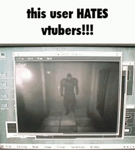 A Computer Screen With A Shadow Of A Man On It And The Words This User Hates Vtubers GIF