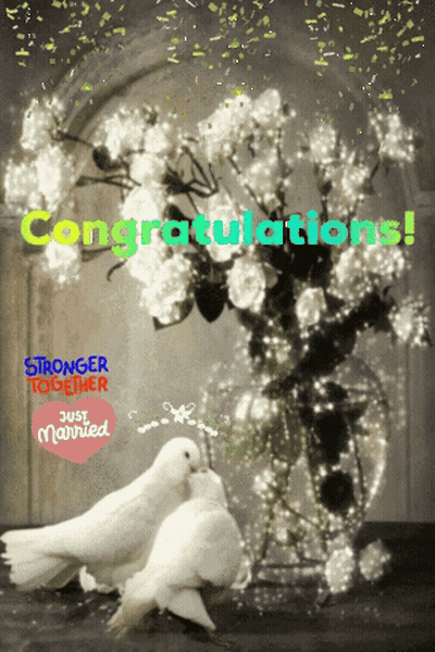 A Congratulations Card With Two Doves And Flowers GIF