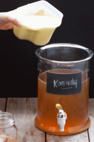 A Container Of Kombucha Is Being Poured Into Another Container GIF