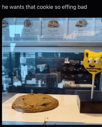 A Cookie And A Lollipop In A Display Case With The Caption He Wants That Cookie So Effing Bad GIF