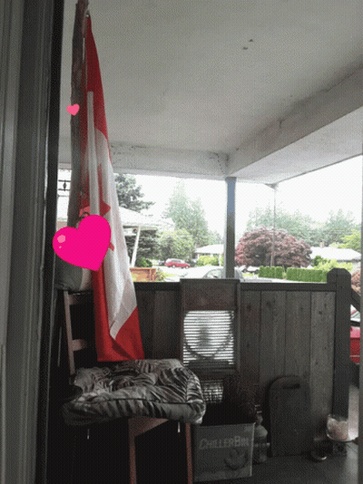 A Cooler Box Sits On A Porch Next To A Chair And A Canadian Flag GIF