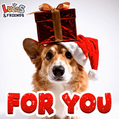 a corgi wearing a santa hat and a gift on its head with the words for you below it