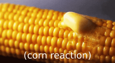 A Corn On The Cob With Butter On It And The Words Corn Reaction GIF