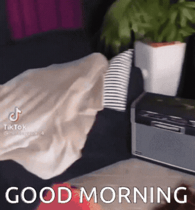 A Couch With A Pillow On It And The Words Good Morning Written On It GIF